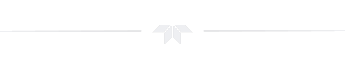 Teledyne Logo with divider
